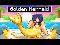 The Golden Mermaid's Circus Adventure