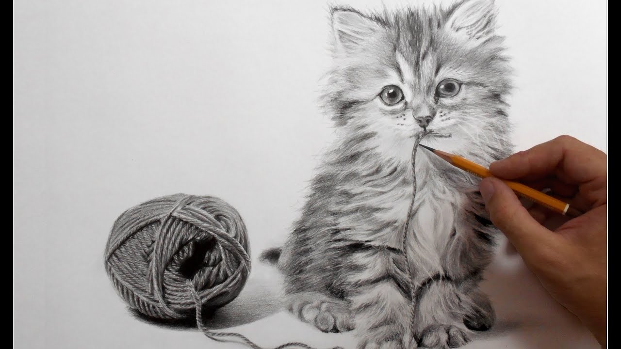 Рисунок кота карандашом - ускоренное видео.