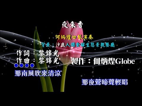 夜來香~附KTV歌詞~何炳煌口琴演奏