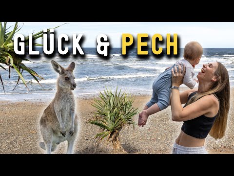 Byron Bay und erste Kängurus in Australien | VLOG 629