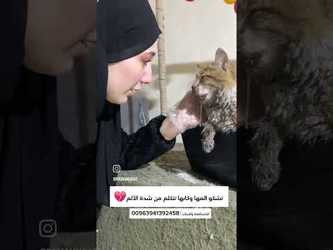 انا ليش بكيت؟؟ 💔
