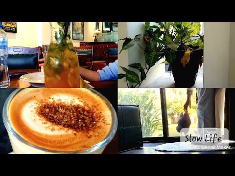 Slow Living Life | Baking Cookies, Making Sourdough Starter , Coffee Break : #vlog