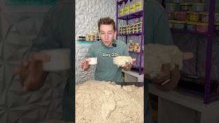 Day 22 of Adding Sand to Slime!