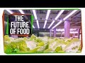 Future of Food and Google Science Fair