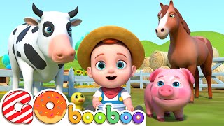 Velho MacDonald + As Rodas do Ônibus | Português | Músicas Infantis | GoBooBoo em Português