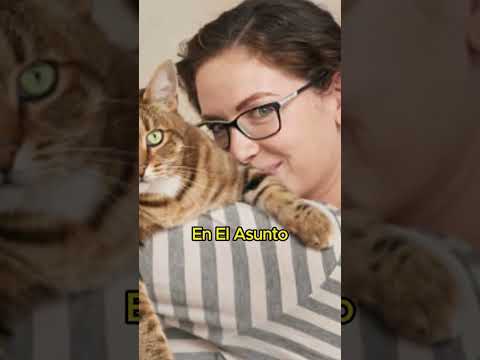 Que paso con sus gatitos :O #shortsviral #datoscuriosos #historiasincreibles
