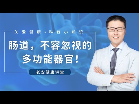 肠道，不容忽视的多功能器官（中医养生）【老安谈健康】