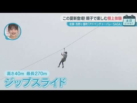 この夏新登場!親子で遊べる樹上体験【ぎゅっと】(2025年7月11日OA)