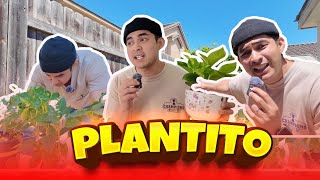 Wander Z Family S1 EP28 - PLANTITO ZEE