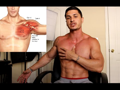 The Perfect Chest Workout Routine for Mass