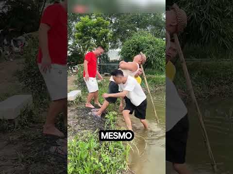 Papai está dormindo em um galho perto do rio #shortsvideo
