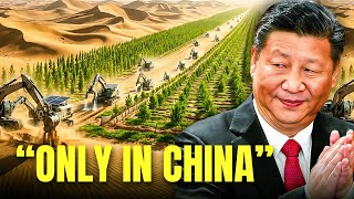 Everyone Laughed At China For Using Robots In The Desert... The Result 1 Year Later Is Shocking