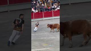 “Omar” El ganador del concurso de maestros de la calle Vall d’Uixo Castellón 2025