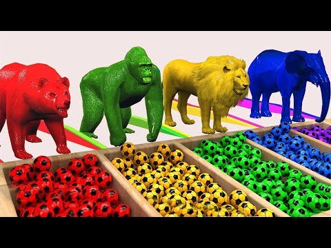Impara i Colori con animali filastrocche canzoni per bambini #61
