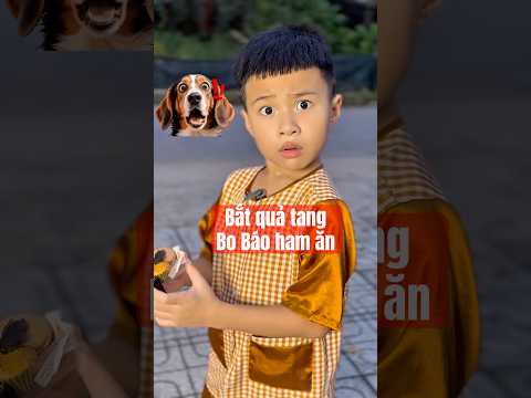 Bắt quả tang Bo Báo ham ăn #shorts
