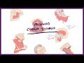 Muscle Functions and Anatomy
