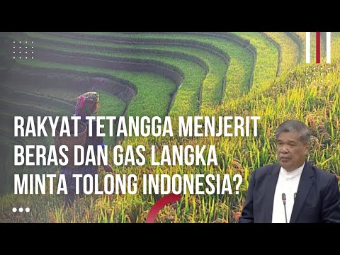 Warga Malaysia Menjerit! Katanya Kaya Tapi Petronas Bangkrut Gas Beras Langka Indonesia Ambil Alih?