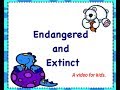 Animal Conservation and Environmental Impact