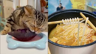 Video Makanan Satisfying dengan Suara ASMR yang Bikin Ngiler