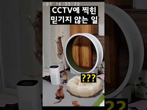 8초뒤에 일어나는... 놀라운 일