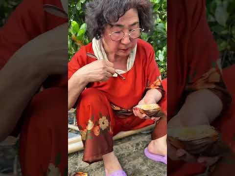 |1459| CHO MẸ CHỒNG TRẢI NGHIỆM SÔNG NƯỚC MIỀN TÂY.