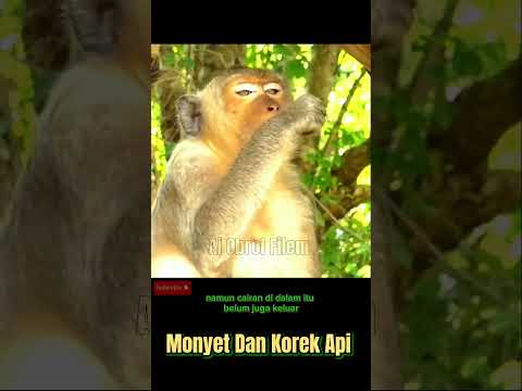 Korek api #shorts #alurcerita #vidioviral #comedy