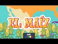 Historia y Usos del Maíz