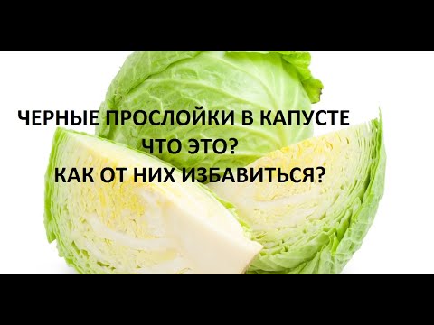 Черные прослойки в капусте