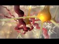 Diabetes Symptoms and Management