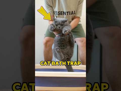 The owner has a genius way to bathe cat