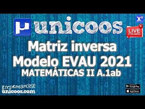 Modelo EvAU 2021 - Matriz Inversa - Matriz Inversa, Adjunta Y ...