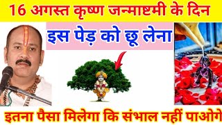 16 अगस्त कृष्ण जन्माष्टमी के दिन इस पेड़ को छूकर आ जाना तत्काल गरीबी होगी दूर!! #Janmashtami #upay
