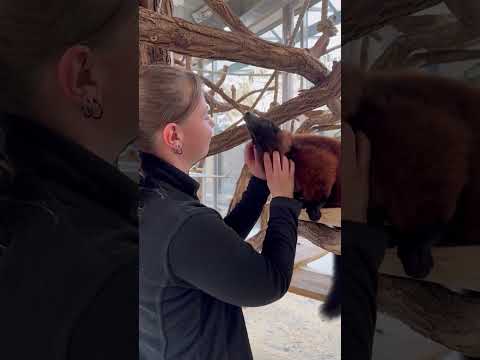 #natürlich #trend #ofcourse #viennazoo #tiergartenschönbrunn