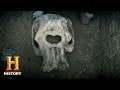 Fossils and the Cyclops Myth