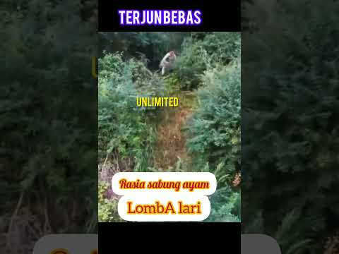 KEBERADAAN AEP SAKSI BOHONG SUDAH DI TEMUKAN..DAN LARI SAAT AKAN DI TANGKAP #lucu