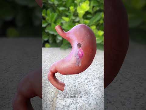 The Little People's Country Mini People never eat breakfast, so they have two brushes, they are