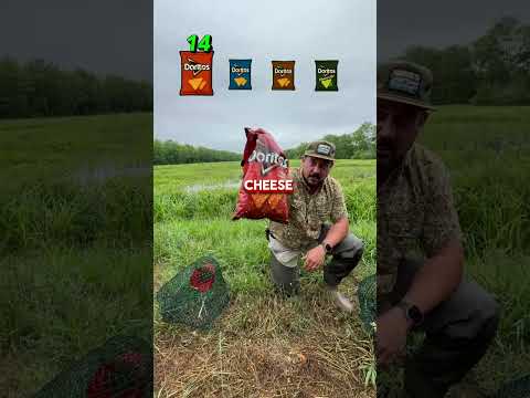 🦞 CAN IT CATCH (DORITOS EDITION)