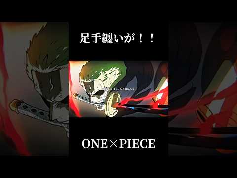 足手纏いが!!からの瞬殺はカッコ良すぎます。。#ワンピース #onepiece #ゾロ #サンジ