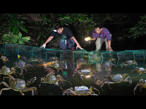 河裡沒人抓的螃蟹，兒子一晚抓了20個，給母親烹飪補營養｜广西  美食 ｜玉林阿婆