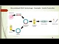 DNA and RNA Concepts Assessment