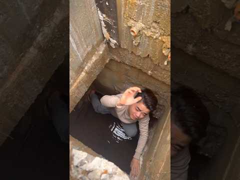 Aquí los que aman a los perritos #pets #dog #trendingshorts #dogvideo #petrescue