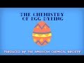 Effects of Vinegar on Eggshells