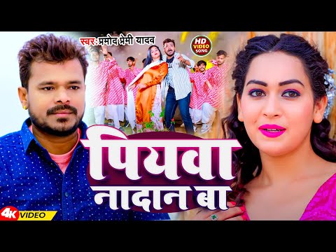 #Video | पियवा नादान बा | #Pramod Premi Yadav | Piyawa Nadan Ba | Bhojpuri Song 2024