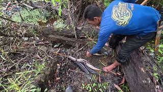 Gak Nyangka! Spot Hampir Kekeringan Ini Penuh Ikan