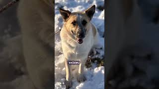 Je tohle nejkrásnější fenka? 😍