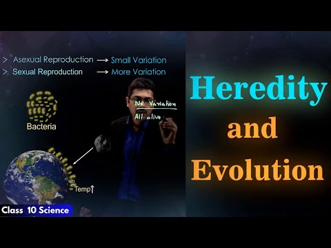 Heredity and Evolution | CBSE Class 10 Science Chapter 9 (Biology) | Free Education