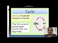 Grasshopper Lifecycle and Characteristics
