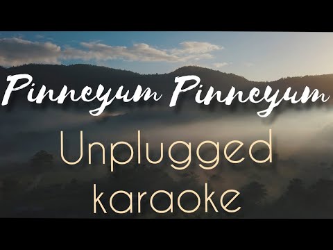 Pinneyum Pinneyum | Karaoke with lyrics | unplugged | Vidyasagar | Sebin Xavier