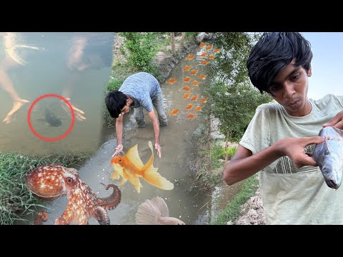 Big Nayaab Fish ko Pakar kr Mini Zoo may lay gay