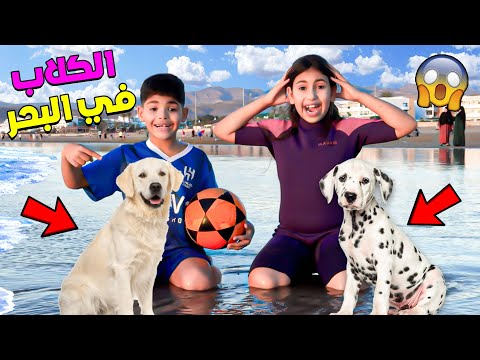 اخيرا.اخدنا الكلاب روكي وديانا للبحر🐶🌊سبحوا فالاعماق وصيدوا الاسماك🐟( حمقونا )